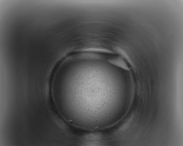 X0000089750447200706281628