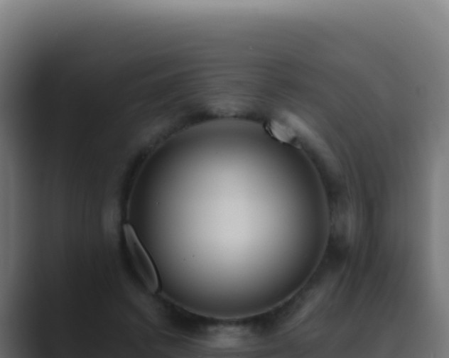 X0000089750448200706281628