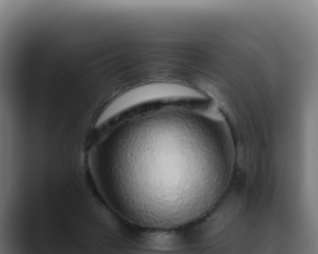 X0000089750449200706281628