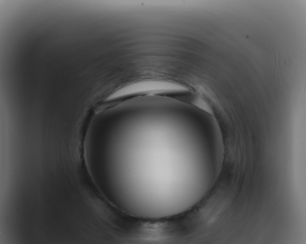 X0000089750450200706281628