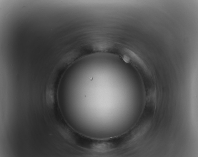 X0000089750452200706281628