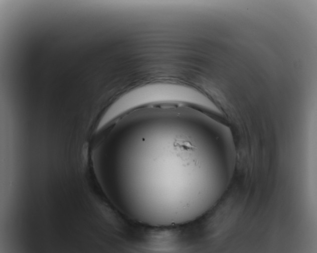 X0000089750454200706281628