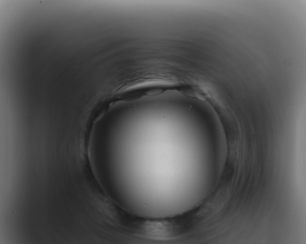 X0000089750457200706281628