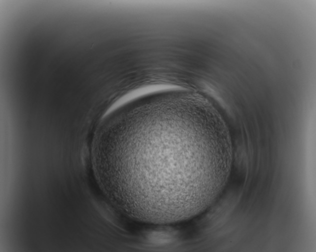 X0000089750459200706281628