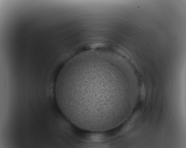 X0000089750462200706281628