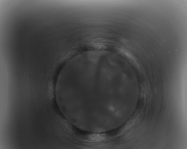 X0000089750465200706281628