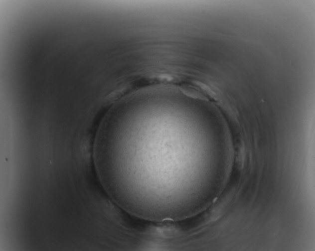 X0000089750466200706281629