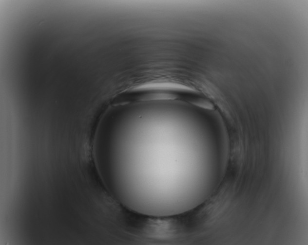 X0000089750469200706281629