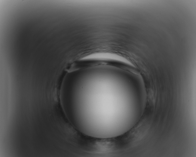 X0000089750470200706281629