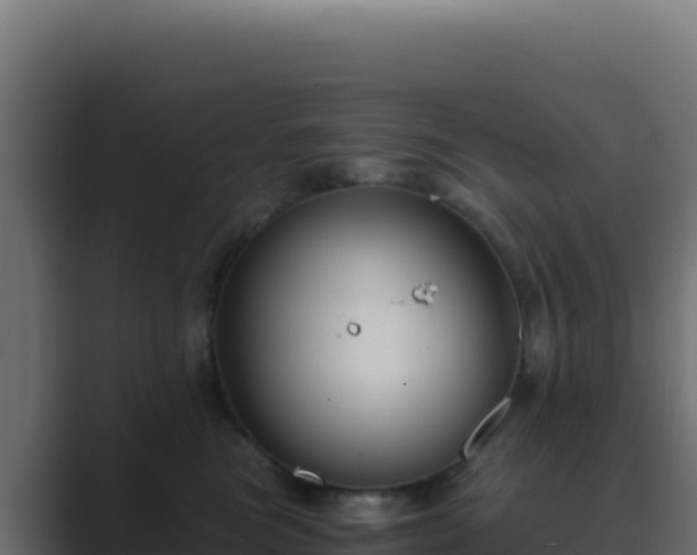 X0000089750473200706281629