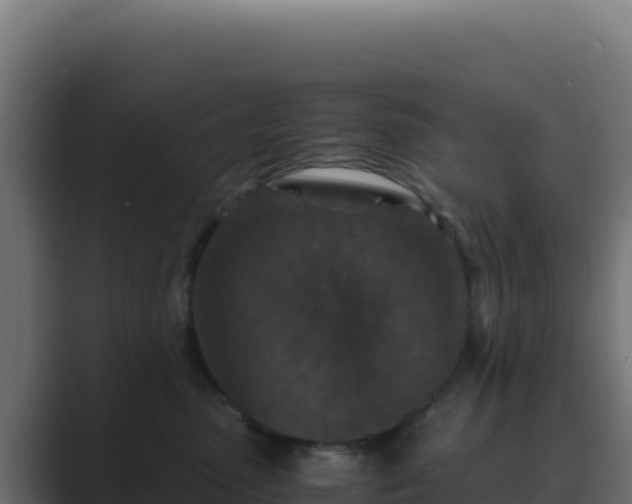 X0000089750475200706281629