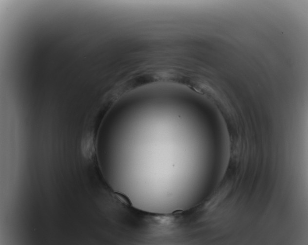 X0000089750478200706281629