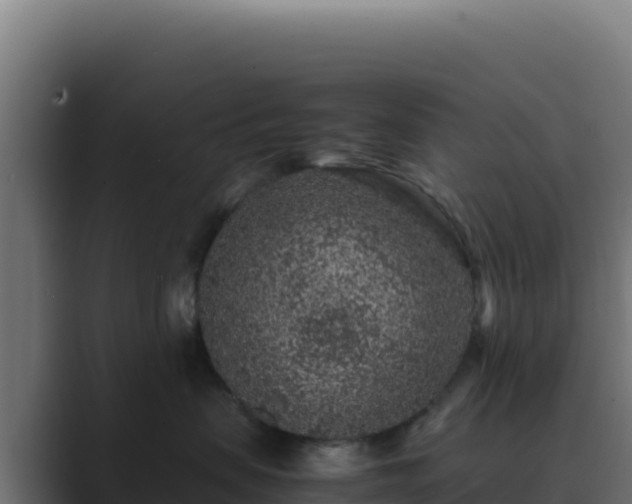 X0000089750479200706281629