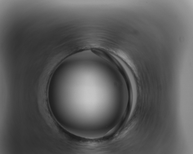 X0000089750481200706281628