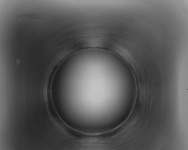 X0000089750482200706281628