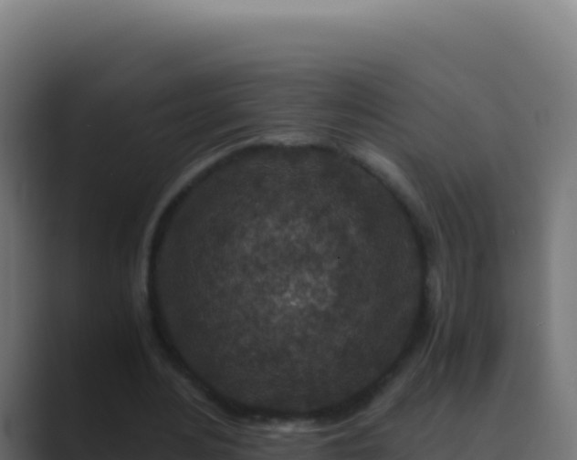 X0000089750484200706281628