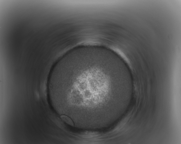 X0000089750487200706281628