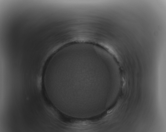 X0000089750488200706281628