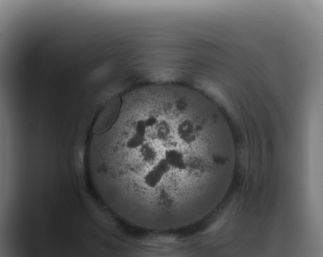 X0000089750491200706281628