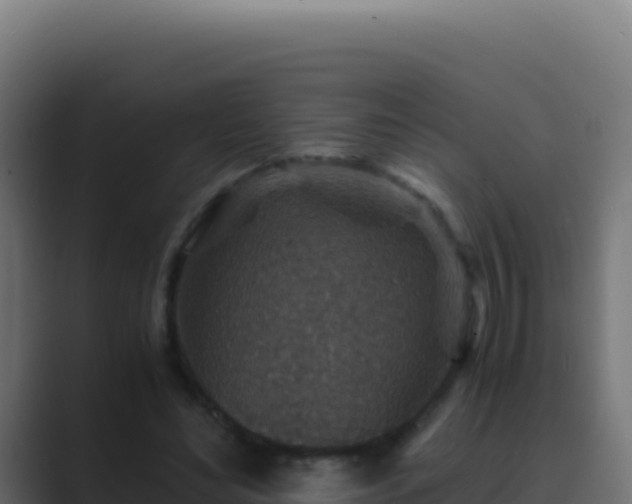 X0000089750492200706281628