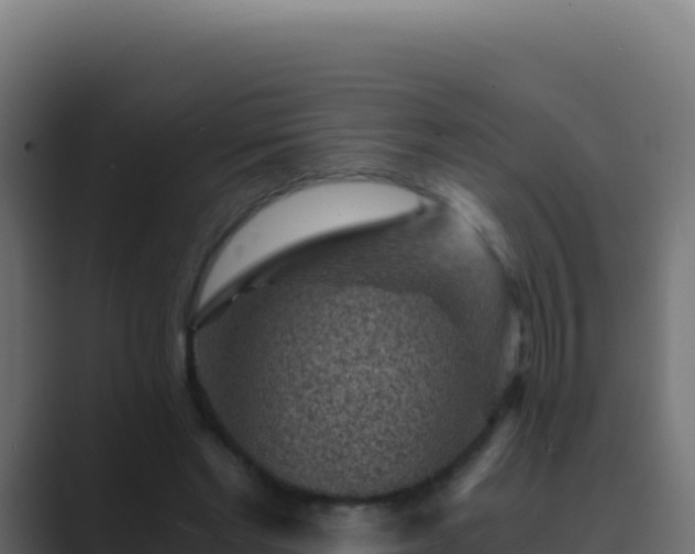 X0000089750493200706281628