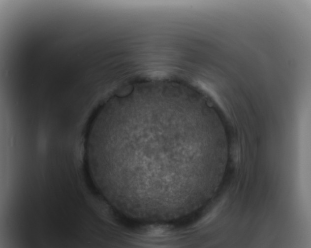 X0000089750495200706281628