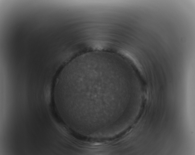 X0000089750496200706281628