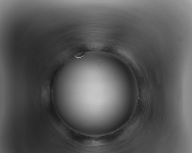 X0000089750498200706281628