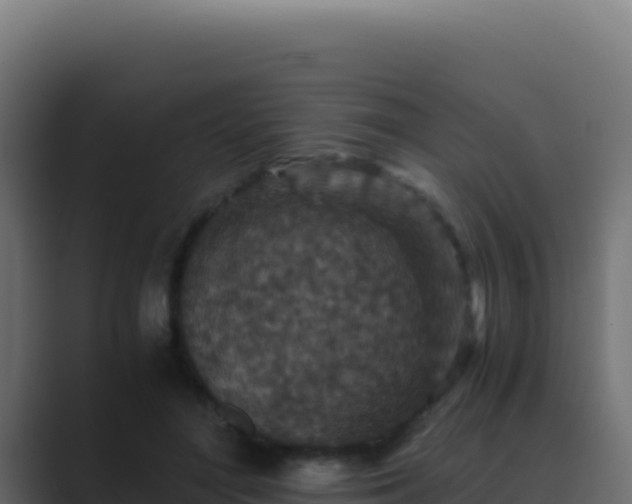 X0000089750500200706281628