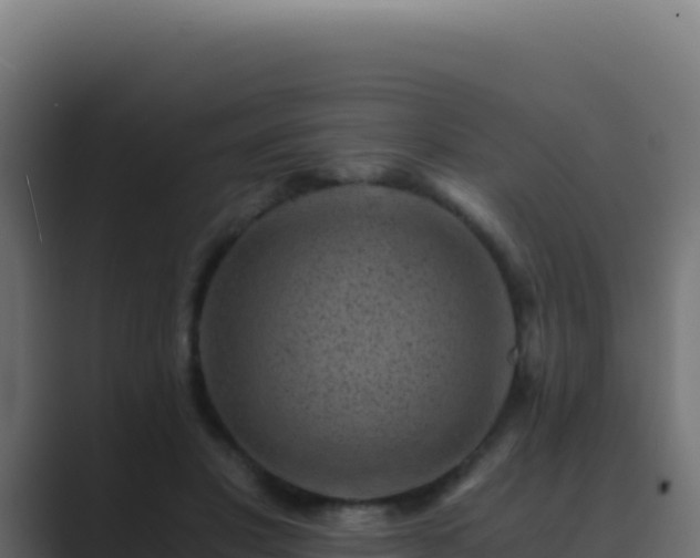 X0000089750501200706281628