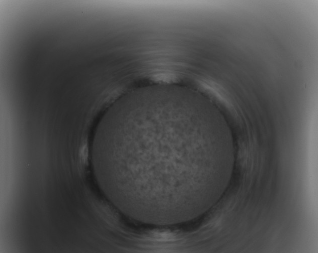 X0000089750502200706281628