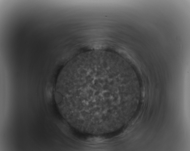 X0000089750503200706281628