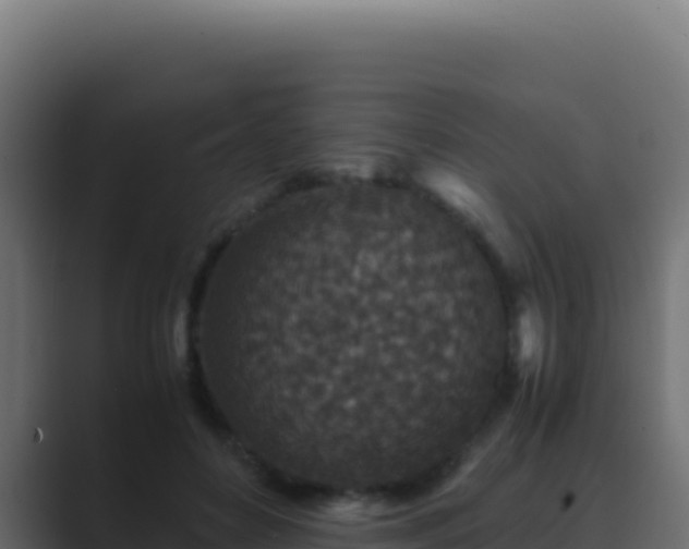 X0000089750504200706281628