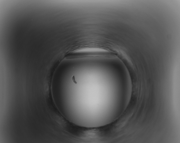 X0000089750505200706281628