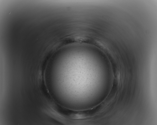 X0000089750506200706281628