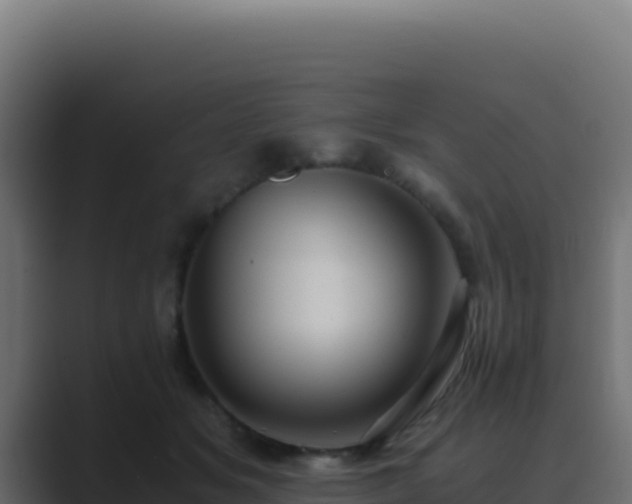 X0000089750509200706281628