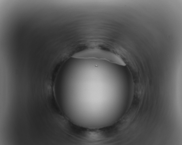 X0000089750510200706281628