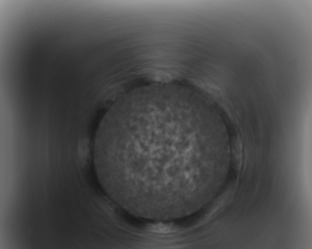 X0000089750511200706281628