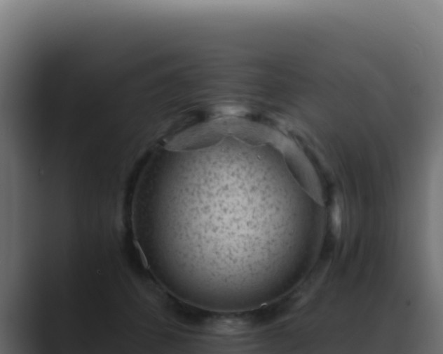 X0000089750512200706281628