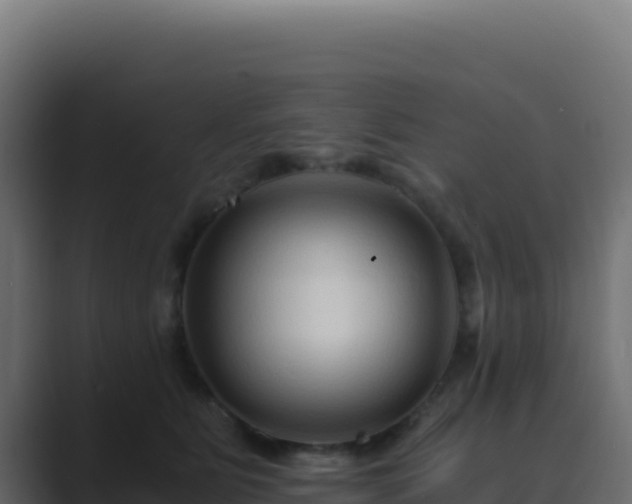 X0000089750515200706281628