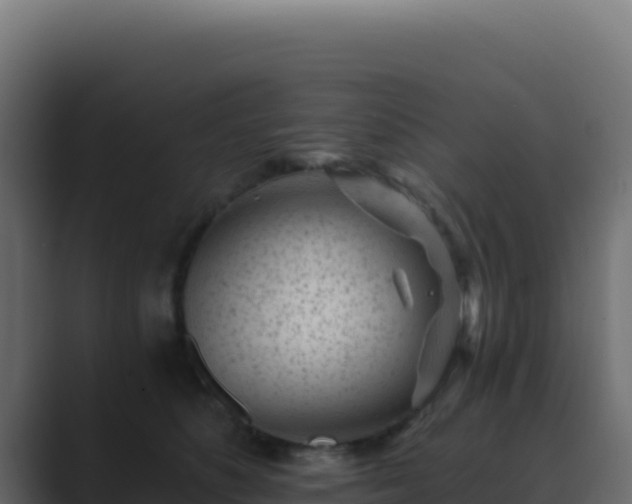 X0000089750516200706281628