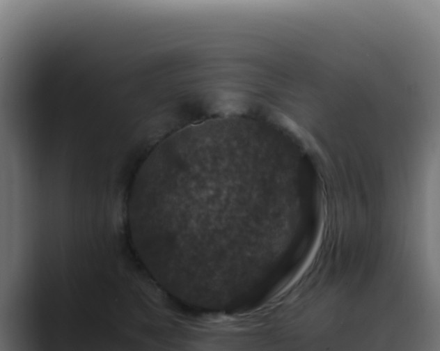 X0000089750517200706281628