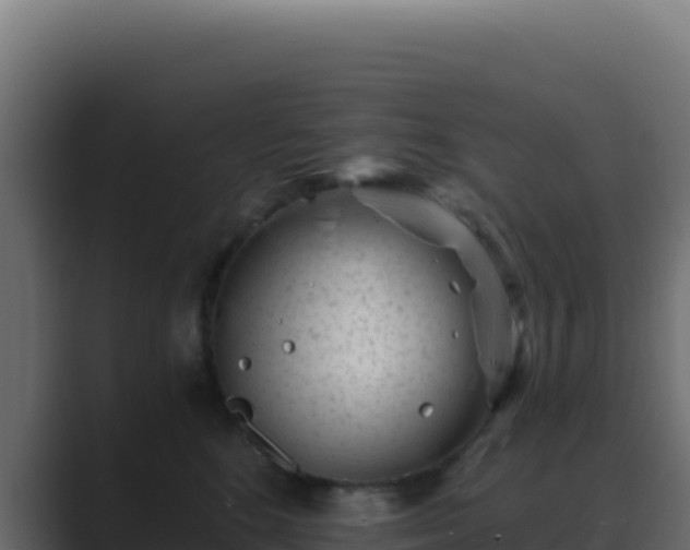 X0000089750520200706281628