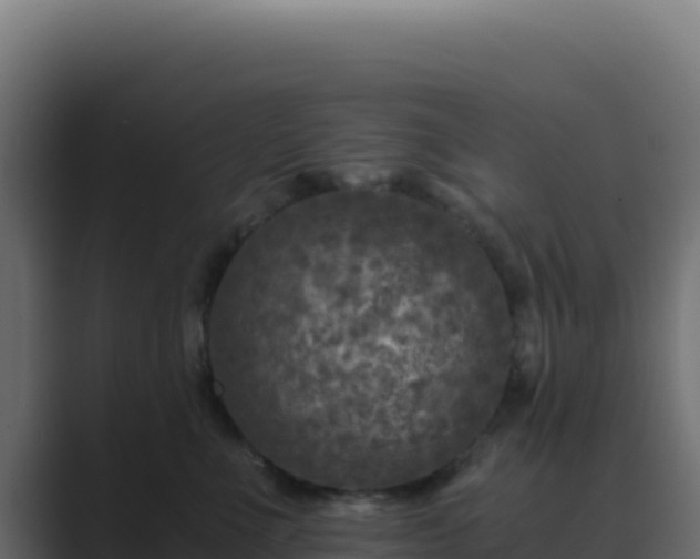 X0000089750523200706281628