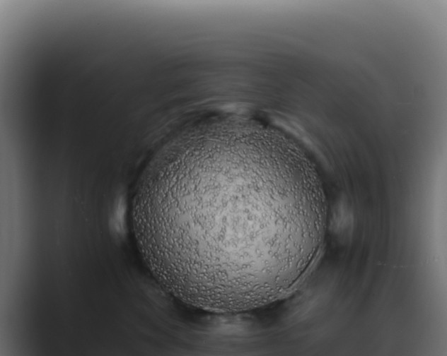 X0000089750524200706281628