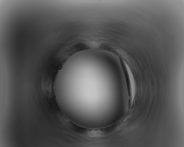 X0000089750525200706281628