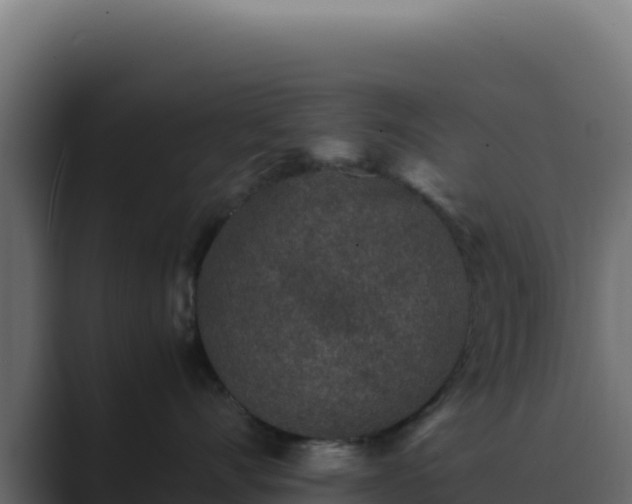 X0000089750528200706281628