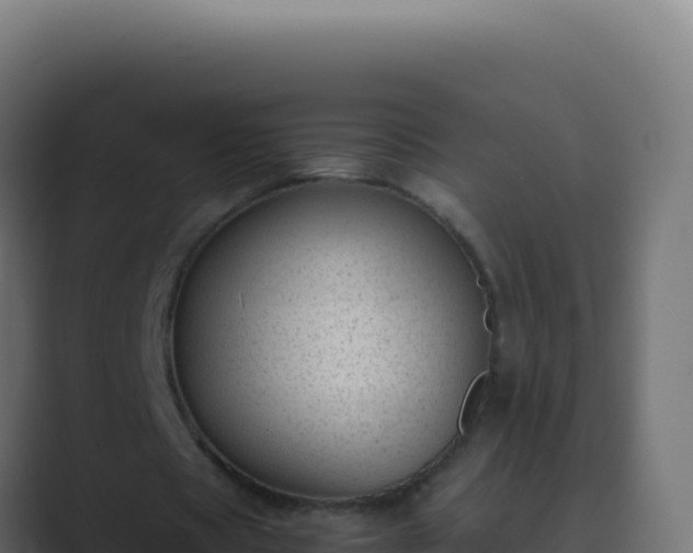 X0000089750529200706281627