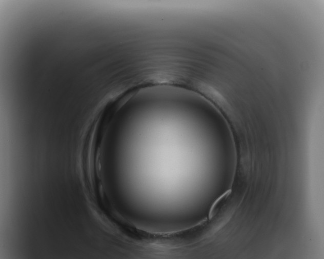 X0000089750530200706281627