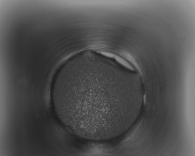 X0000089750531200706281627